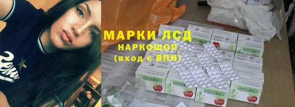 СК Алексин