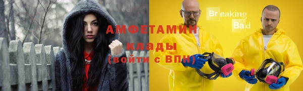 СК Алексин