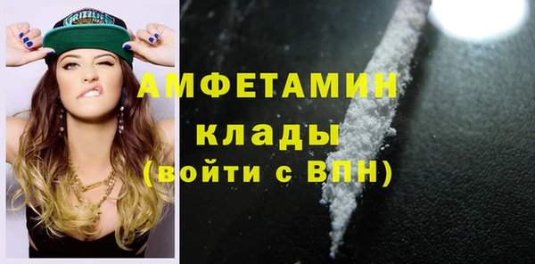 СК Алексин