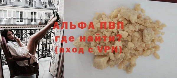 СК Алексин