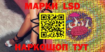 кокс Донецк