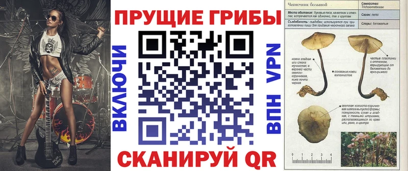 Галлюциногенные грибы Psilocybe мега ССЫЛКА Качканар