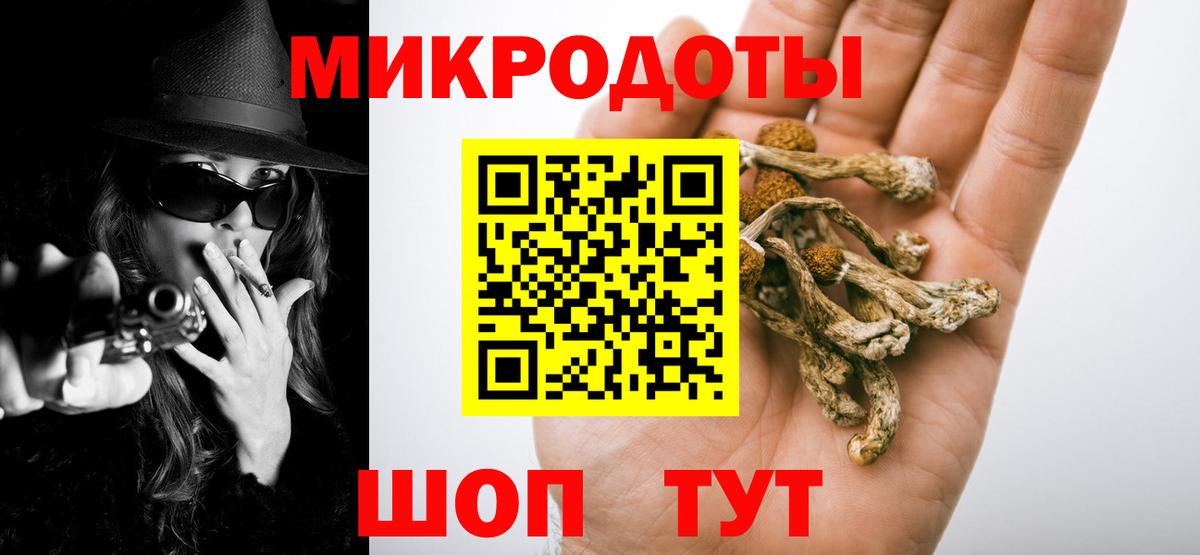 Псилоцибиновые грибы Psilocybe  Вход с VPN  Качканар  Галлюциногенные грибы ЛСД 